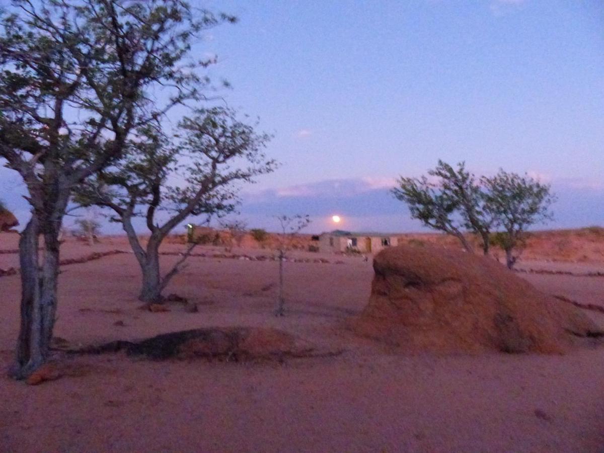 Ozohere Campsite And Himba Village Uis Luaran gambar